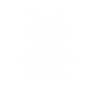 Ants icon
