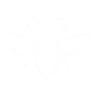 Bees icon