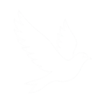 Birds icon