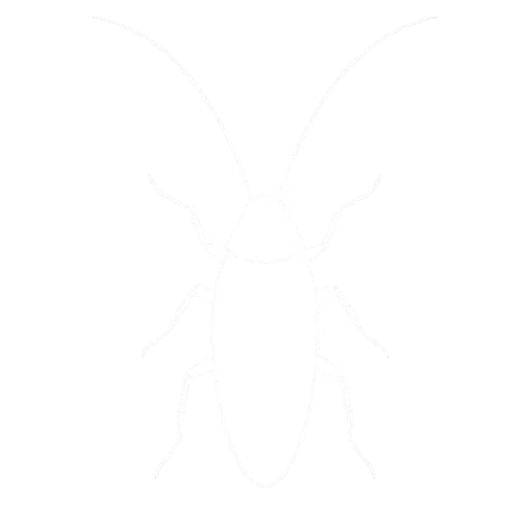 Cockroach Control icon