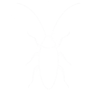 Cockroaches icon