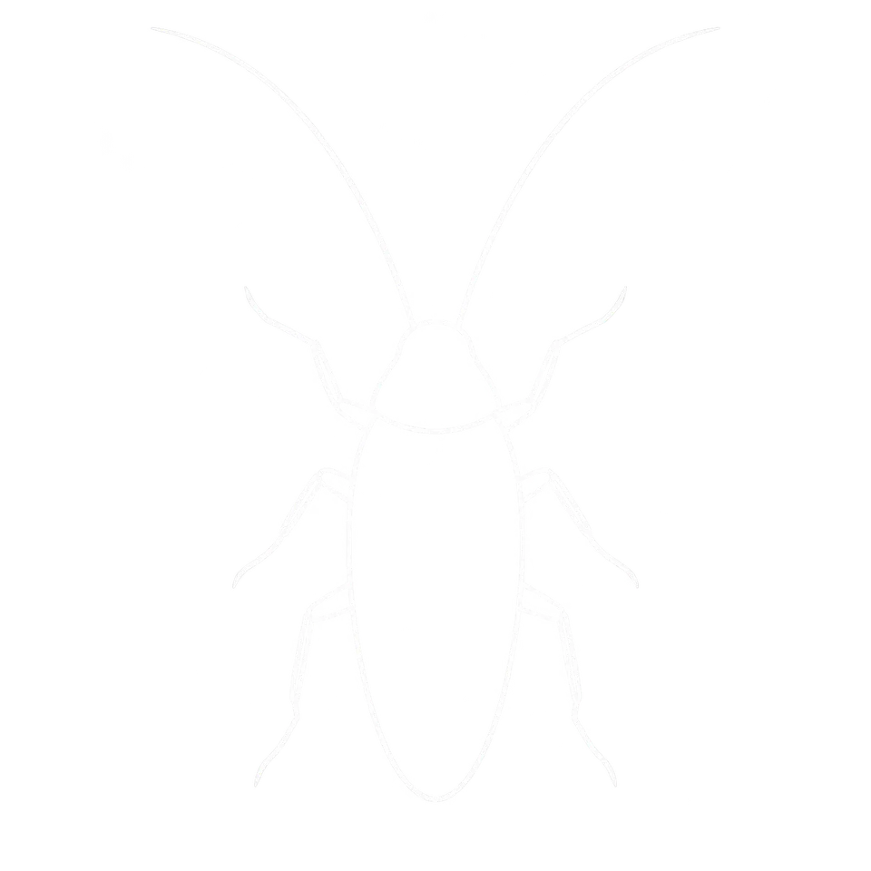 Cockroach Control icon