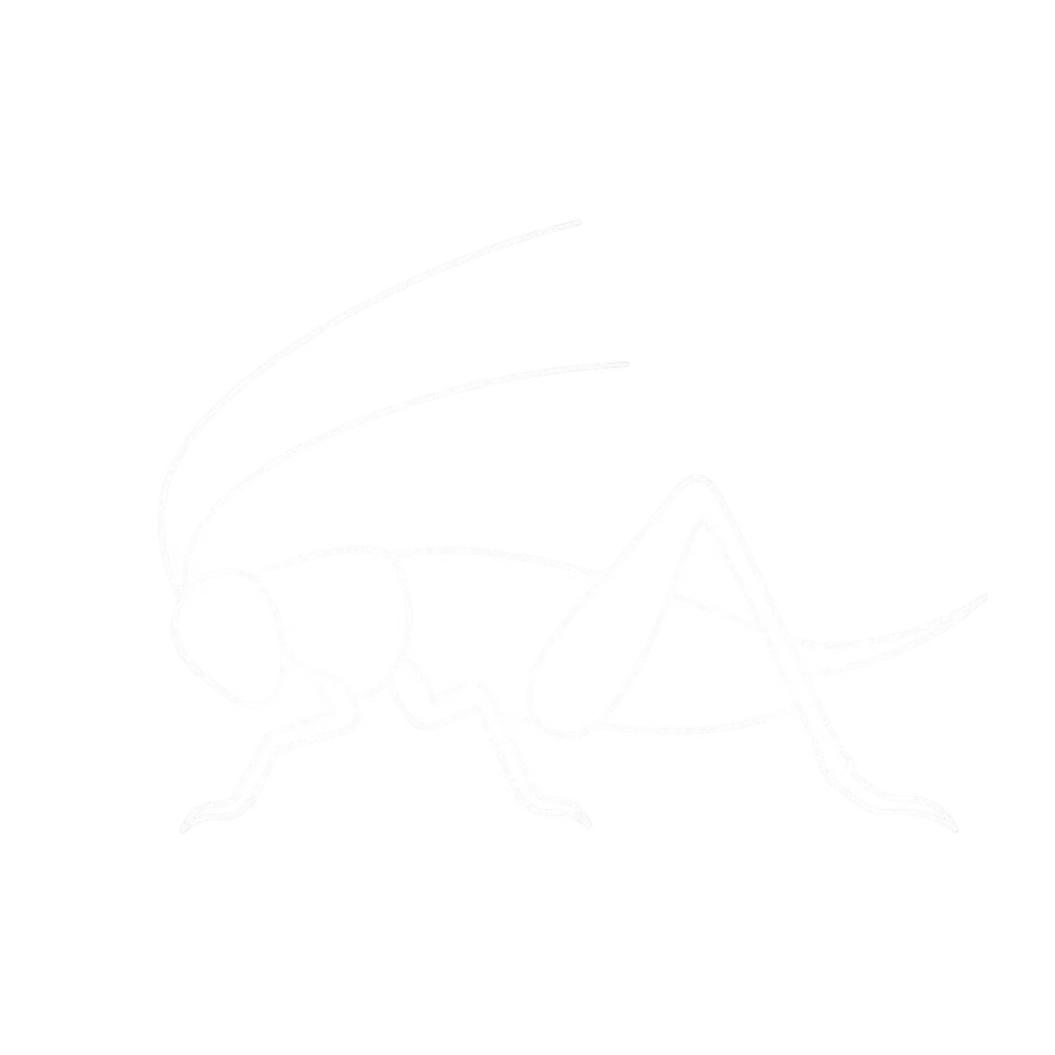 Cricket Control icon