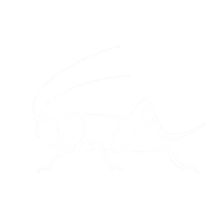 Crickets icon