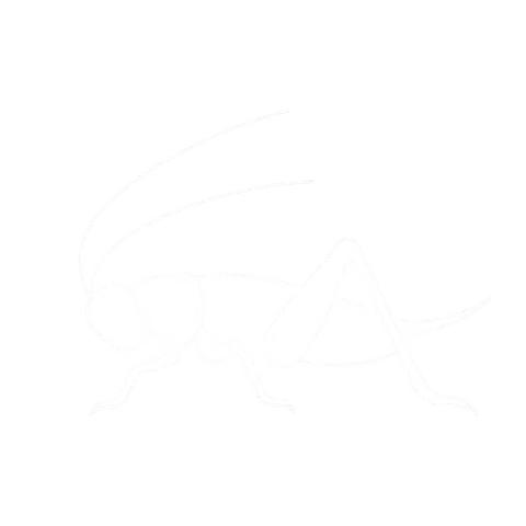 Cricket Control icon