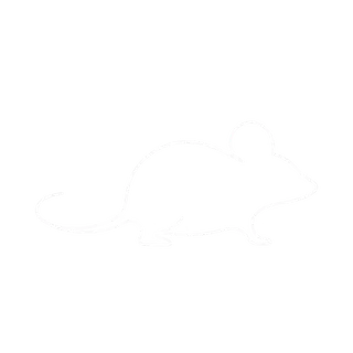 Rodents icon