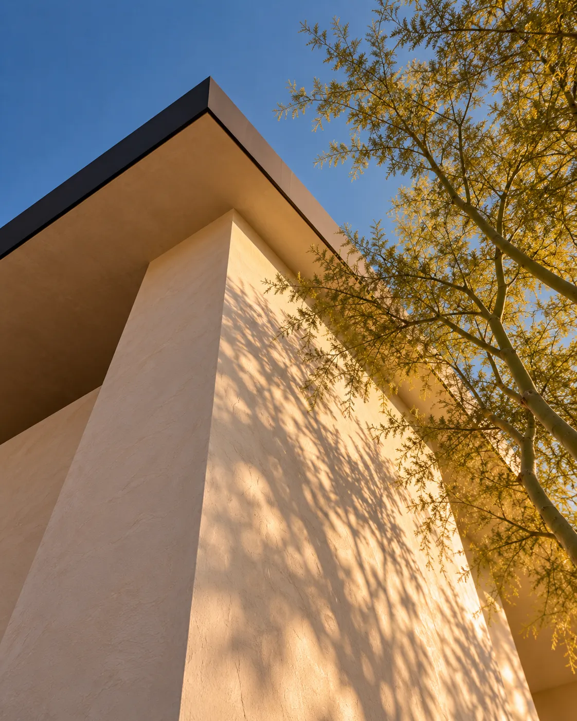 Upward view of a modern desert home's stucco corner and flat roofline, with a tree's dappled shadow across the wall in late-day light