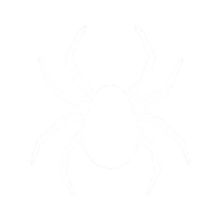 Spiders icon