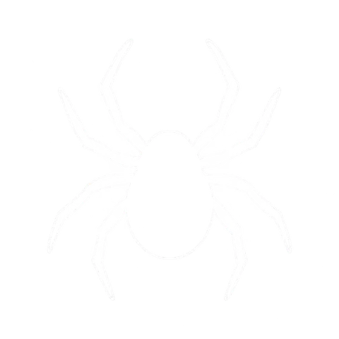 Spider Control icon