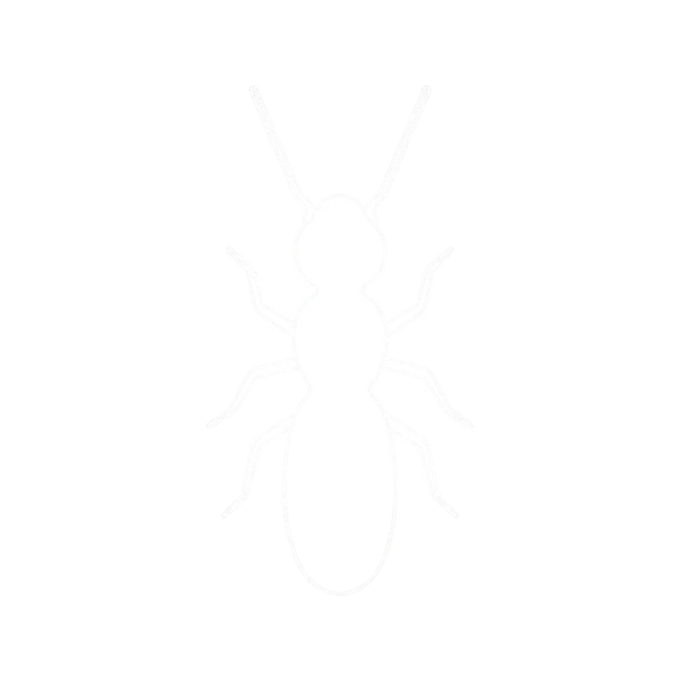 Termite Control icon