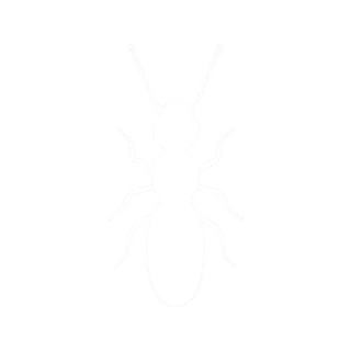 Termites icon