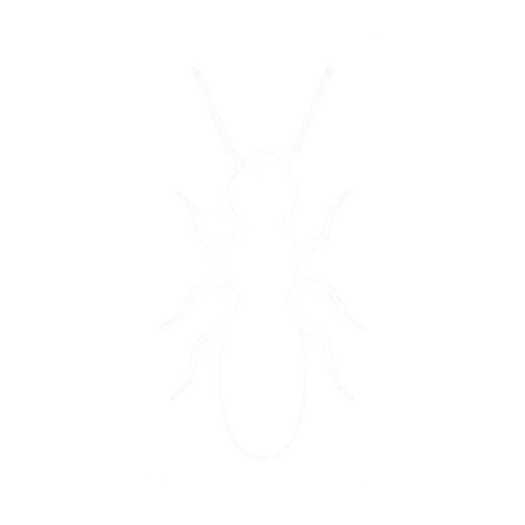 Termite Control icon