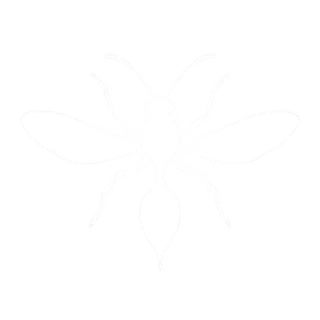 Wasps icon