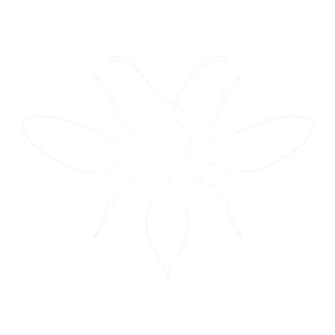 Wasp Control icon