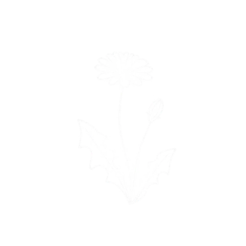 Weed Control icon